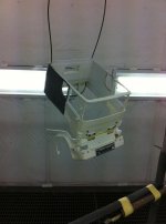 IMG_2020.jpg