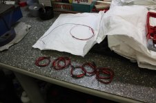 IMG_4350.jpg IMG_4350.jpg