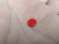 IMG_20240626_224251947.jpg