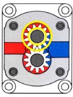 Zahnradpumpe3.png Zahnradpumpe3.png