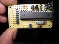 IMG_2981.JPG IMG_2981.JPG