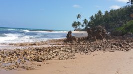 20160125_151721.jpg