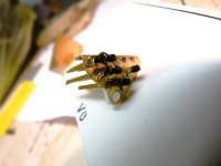 OAnschlüsseArmaturFertig4.JPG OAnschlüsseArmaturFertig4.JPG