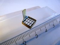 TKleinerAuftritt, Rohnbau1.JPG TKleinerAuftritt, Rohnbau1.JPG